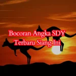 Bocoran Angka SDY Terbaru Siang Ini 2D 3D 4D