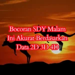 Bocoran SDY Malam Ini Akurat Berdasarkan Data 2D 3D 4D